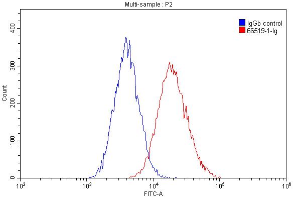 Flow cytometry (FC) experiment of THP-1 cells using CD11B/Integrin Alpha M Monoclonal antibody (66519-1-Ig)
