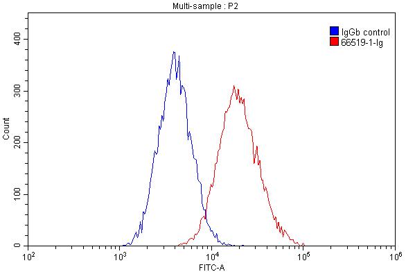 FC experiment of THP-1 using 66519-1-Ig