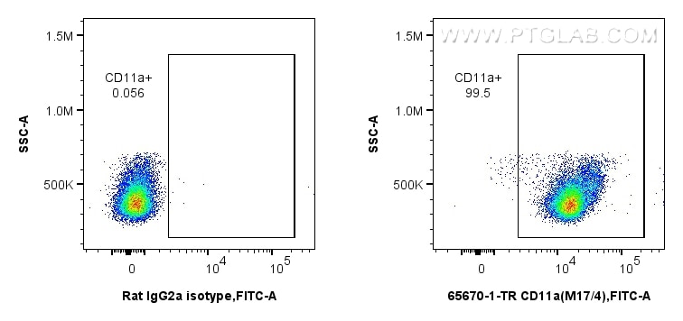 1x10^6 mouse thymocytes were surface stained with 0.5 ug Anti-Mouse CD11a (M17/4) Rat IgG2a RecAb (65670-1-TR, Clone:M17/4) or Rat IgG2a Isotype Control Recombinant Antibody (98427-1-TR, Clone: 250862A1), and FITC anti-Rat IgG2a antibody. Cells were not fixed. This data was developed using the same antibody clone with 65670-1-PBS in a different storage buffer formulation. Flow cytometry (FC) experiment of mouse thymocytes using Anti-Mouse CD11a (M17/4) Rat IgG2a Recombinant Ant (65670-1-TR)
