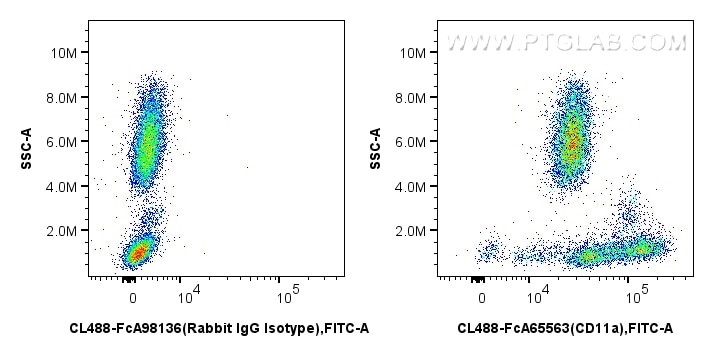 Flow cytometry (FC) experiment of human peripheral blood leukocyte using FcZero-rAb® CoraLite® Plus 488 Anti-Human CD11a (T (CL488-FcA65563)