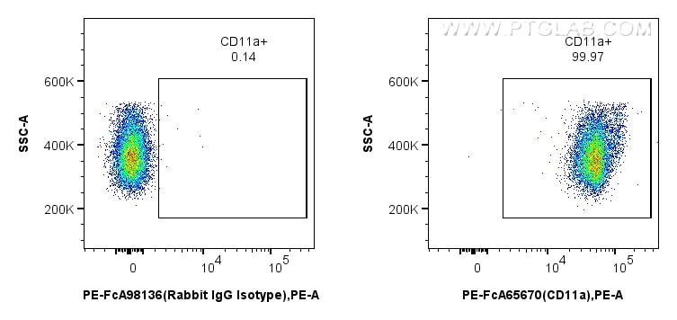 1x10^6 mouse thymocytes were surface stained with 0.1 ug PE Anti-Mouse CD11a (M17/4) Rabbit IgG RecAb (PE-FcA65670, Clone: M17/4) or PE Rabbit IgG Isotype Control RecAb (PE-FcA98136, Clone: 240953C9). Cells were not fixed. Flow cytometry (FC) experiment of mouse thymocytes using FcZero-rAb™ PE Anti-Mouse CD11a (M17/4) Rabbit IgG (PE-FcA65670)