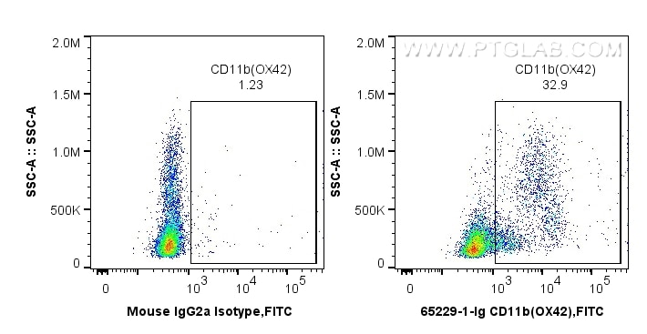 Flow cytometry (FC) experiment of LOU  rat splenocytes using Anti-Rat CD11b (OX42) (65229-1-Ig)