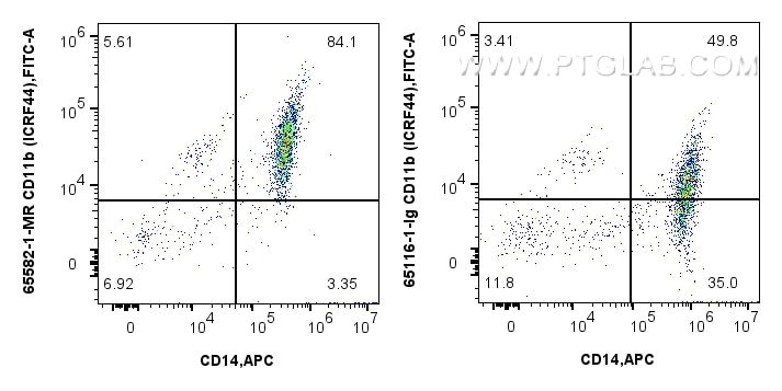 CD11b