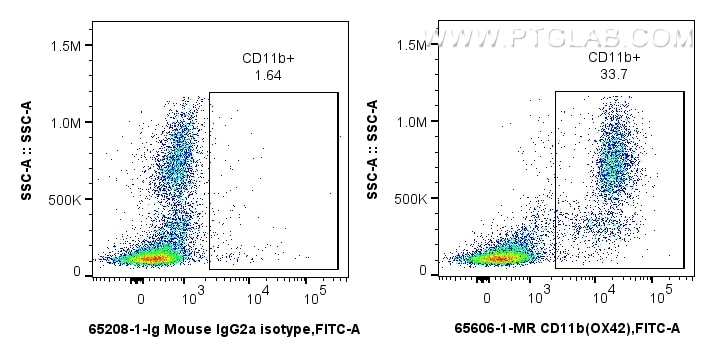 Flow cytometry (FC) experiment of rat bone marrow cells using Anti-Rat CD11b (OX42) Mouse IgG2a Recombinant Anti (65606-1-MR)