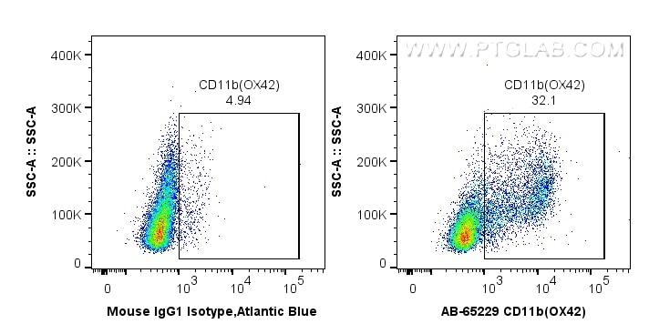 Flow cytometry (FC) experiment of wistar rat splenocytes using Atlantic Blue™ Anti-Rat CD11b (OX42) (AB-65229)