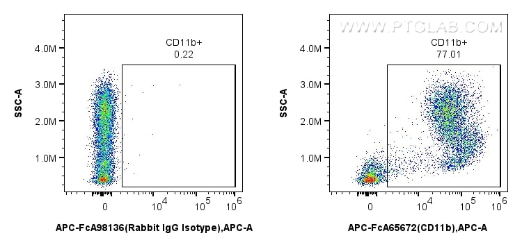 CD11b