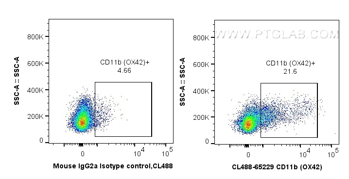 Flow cytometry (FC) experiment of rat splenocytes cells using CoraLite® Plus 488 Anti-Rat CD11b (OX42) (CL488-65229)