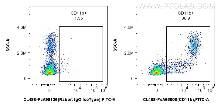 FC experiment of rat bone marrow cells using CL488-FcA65606 Flow cytometry (FC) experiment of rat bone marrow cells using FcZero-rAb™ CoraLite® Plus 488 Anti-Rat CD11b/c (O (CL488-FcA65606)