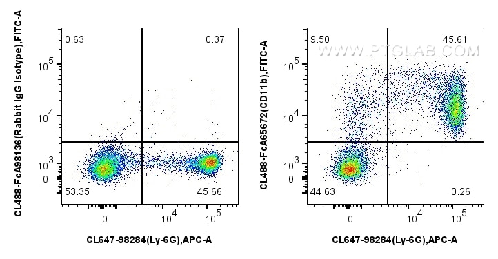 1x10^6 mouse bone marrow cells were surface stained with CoraLite® Plus 647 Anti-Mouse Ly-6G, and 0.25 ug CoraLite® Plus 488 Anti-Mouse CD11b (M1/70) Rabbit IgG RecAb (CL488-FcA65672, Clone: M1/70) or FcZero-rAb™ CoraLite® Plus 488 Rabbit IgG Isotype Control Recombinant Antibody (CL488-FcA98136, Clone: 240953C9). Cells were not fixed. Flow cytometry (FC) experiment of mouse bone marrow cells using FcZero-rAb™ CoraLite® Plus 488 Anti-Mouse CD11b (M (CL488-FcA65672)