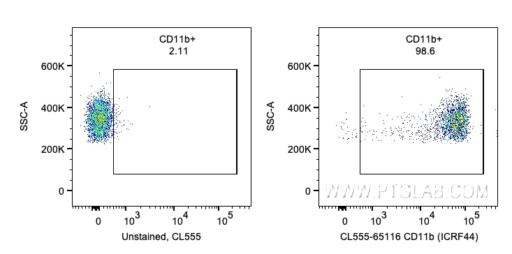 CD11b