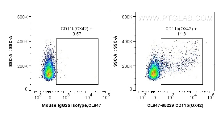 FC experiment of wistar rat splenocytes using CL647-65229