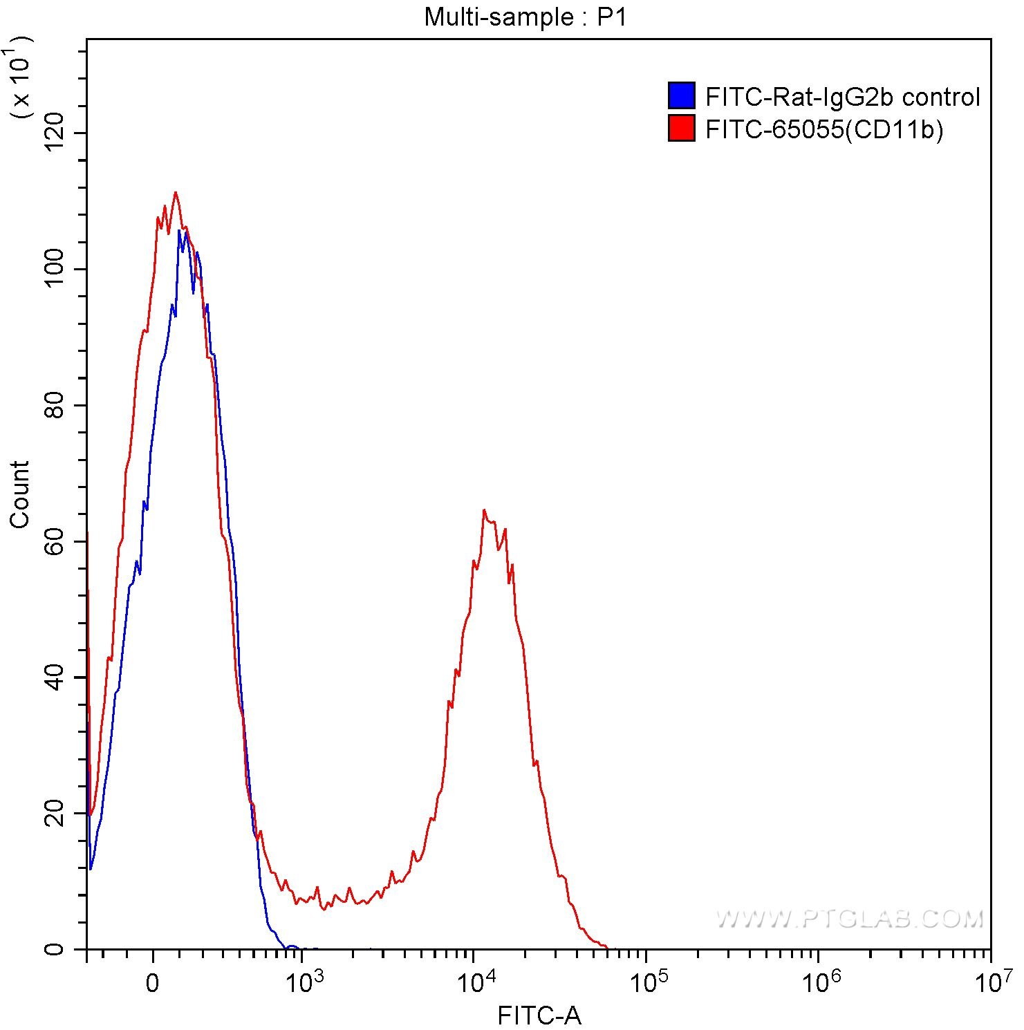 Flow cytometry (FC) experiment of mouse bone marrow cells using FITC Anti-Mouse CD11b (M1/70) (FITC-65055)