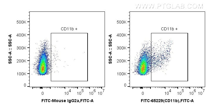 Flow cytometry (FC) experiment of wistar rat splenocytes using FITC Plus Anti-Rat CD11b (OX42) (FITC-65229)