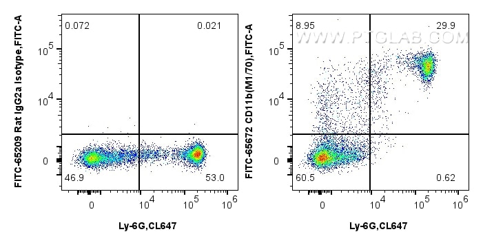 1x10^6 mouse bone marrow cells were surface stained with CoraLite® Plus 647 Anti-Mouse Ly-6G Rabbit Recombinant Antibody (CL647-98284, Clone: 242141B11), and 0.25 ug FITC Plus Anti-Mouse CD11b (M1/70) Rat IgG2a RecAb (FITC-65672, Clone: M1/70) or FITC Plus Rat IgG2a Isotype Control (2A3) (FITC-65209, Clone: 2A3). Cells were not fixed. Flow cytometry (FC) experiment of mouse bone marrow cells using FITC Plus Anti-Mouse CD11b (M1/70) Rat IgG2a Recom (FITC-65672)