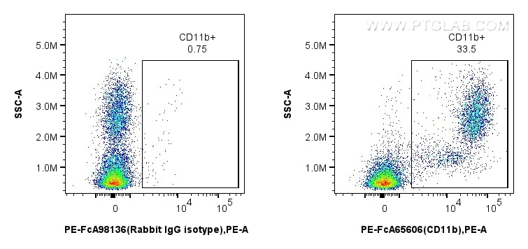1x10^6 rat bone marrow cells were surface stained with 0.06 ug PE Anti-Rat CD11b/c (OX42) Rabbit IgG RecAb (PE-FcA65606, Clone: OX42) (red), or PE Rabbit IgG Isotype Control RecAb (PE-FcA98136, Clone: 240953C9) (blue). Cells were not fixed. Flow cytometry (FC) experiment of rat bone marrow cells using FcZero-rAb™ PE Anti-Rat CD11b/c (OX42) Rabbit IgG (PE-FcA65606)