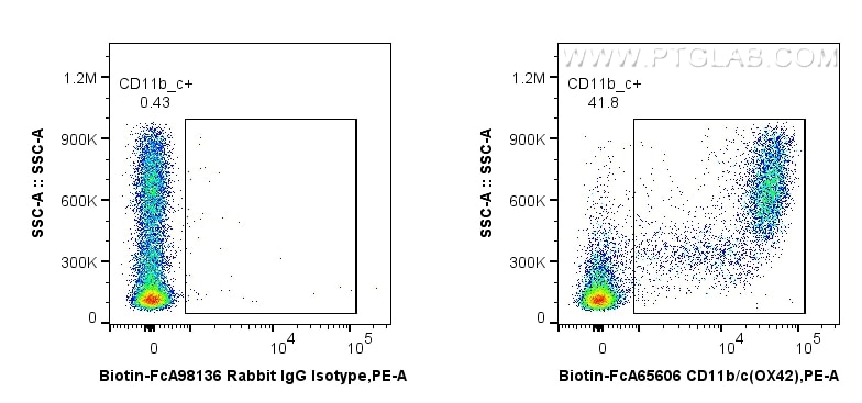 FC experiment of rat bone marrow cells using Biotin-FcA65606 Flow cytometry (FC) experiment of rat bone marrow cells using Biotin Anti-Rat CD11b/c (OX42) Rabbit Recombinant (Biotin-FcA65606)