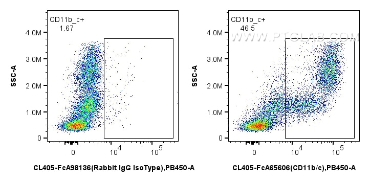 FC experiment of rat bone marrow cells using CL405-FcA65606 Flow cytometry (FC) experiment of rat bone marrow cells using FcZero-rAb® CoraLite® Plus 405 Anti-Rat CD11b/c (O (CL405-FcA65606)