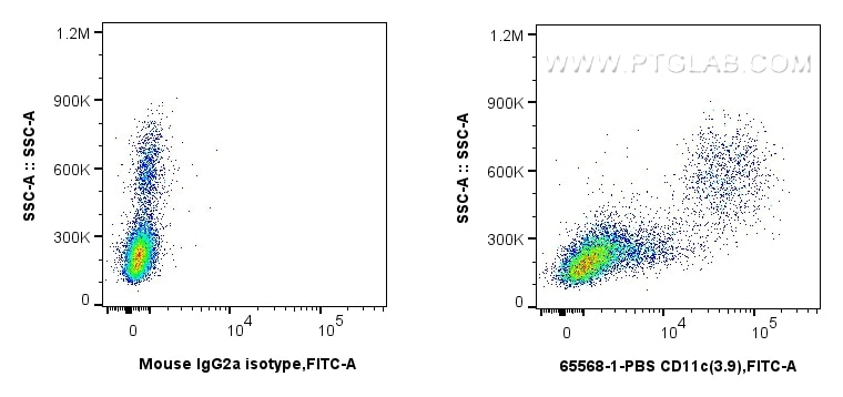 CD11c