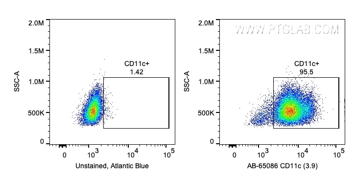 Flow cytometry (FC) experiment of human PBMCs using Atlantic Blue™ Anti-Human CD11c (3.9) (AB-65086)