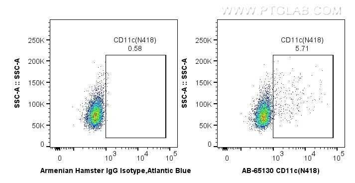 Flow cytometry (FC) experiment of mouse splenocytes using Atlantic Blue™ Anti-Mouse CD11c (N418) (AB-65130)