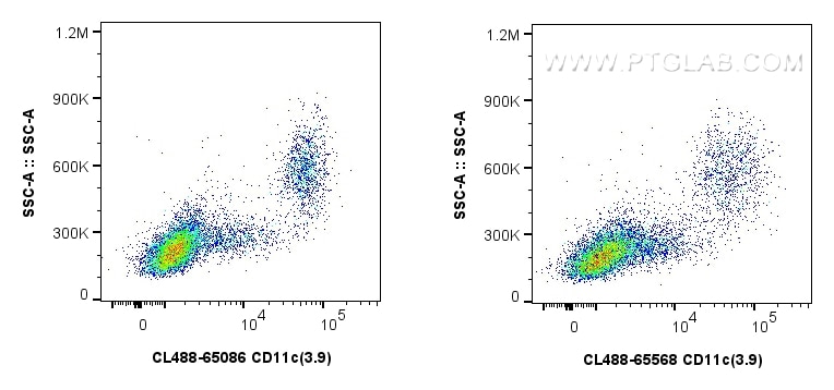 CD11c