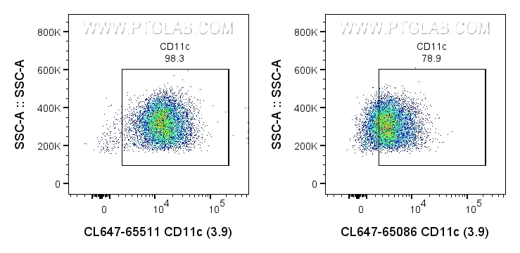 CD11c 