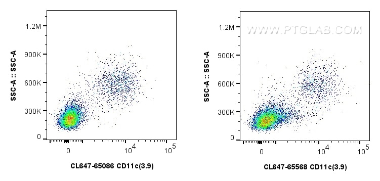 CD11c