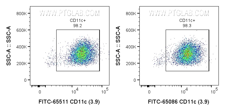 CD11c 