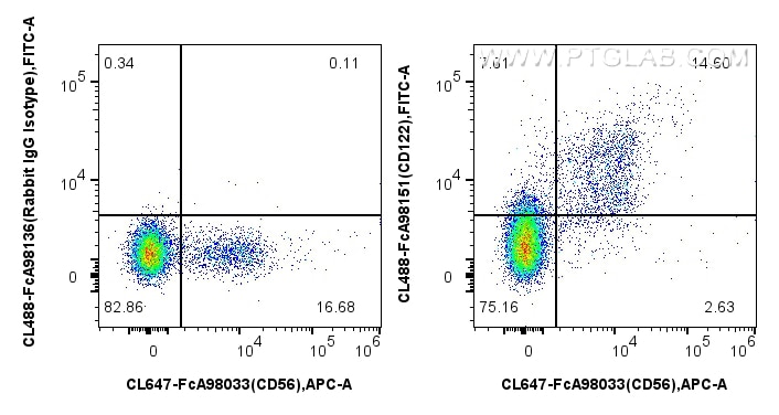 FC experiment of human PBMCs using CL488-FcA98151 Flow cytometry (FC) experiment of human PBMCs using FcZero-rAb® CoraLite® Plus 488 Anti-Human CD122/IL (CL488-FcA98151)
