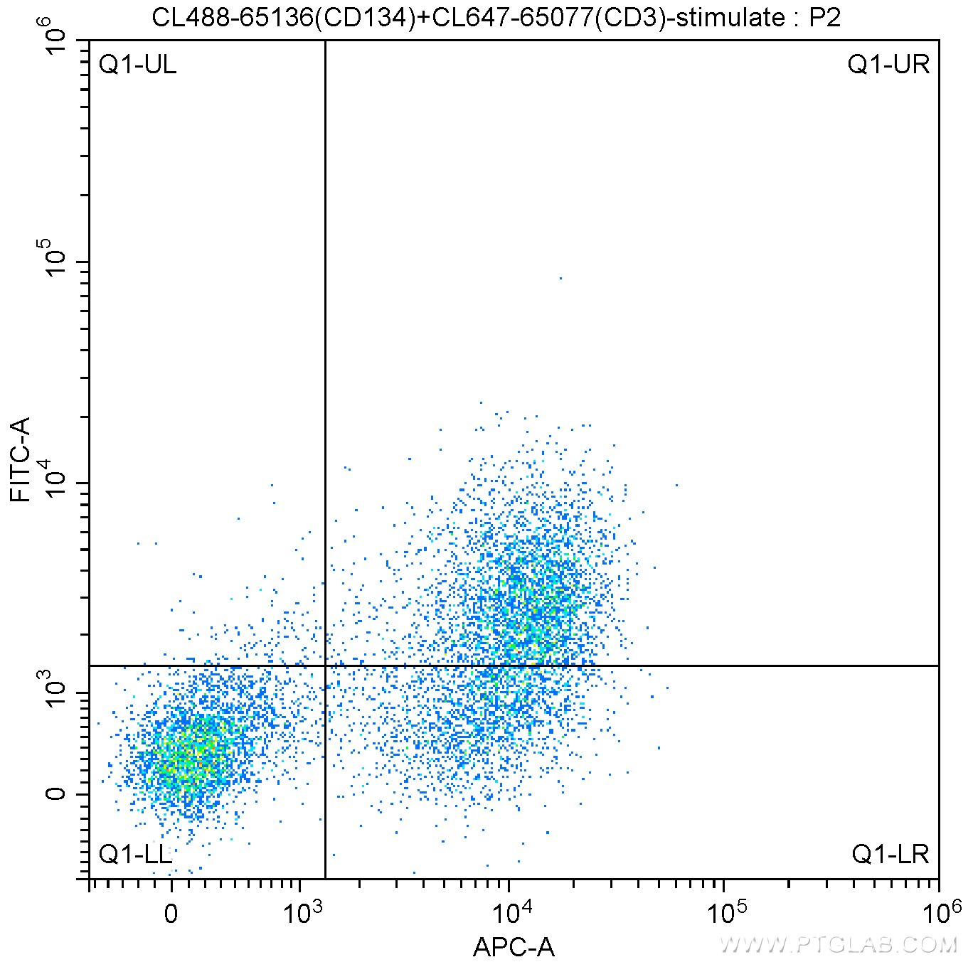Flow cytometry (FC) experiment of BALB/c mouse splenocytes using CoraLite® Plus 488 Anti-Mouse CD134 (OX-86) (CL488-65136)