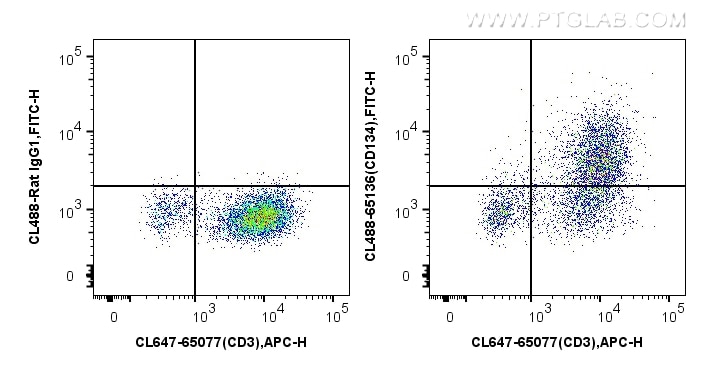 Flow cytometry (FC) experiment of BALB/c mouse splenocytes using CoraLite® Plus 488 Anti-Mouse CD134 (OX-86) (CL488-65136)