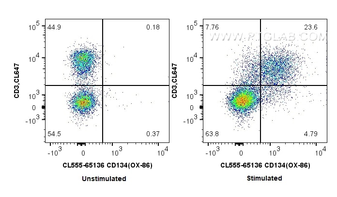 Flow cytometry (FC) experiment of mouse splenocytes using CoraLite® Plus 555 Anti-Mouse CD134 (OX-86) (CL555-65136)