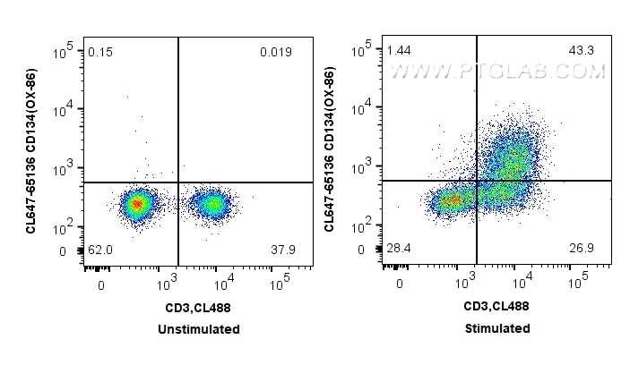 Flow cytometry (FC) experiment of BALB/c mouse splenocytes using CoraLite® Plus 647 Anti-Mouse CD134 (OX-86) (CL647-65136)