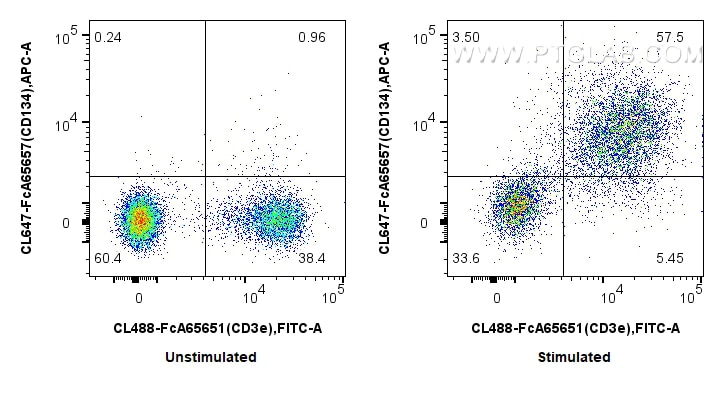 FC experiment of mouse splenocytes using CL647-FcA65657 Flow cytometry (FC) experiment of mouse splenocytes using FcZero-rAb® CoraLite® Plus 647 Anti-Mouse CD134 (O (CL647-FcA65657)