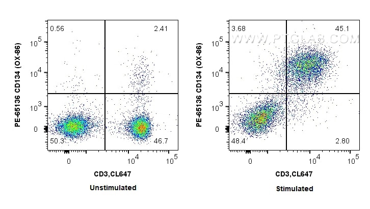 Flow cytometry (FC) experiment of BALB/C mouse splenocytes using PE Anti-Mouse CD134 (OX-86) (PE-65136)