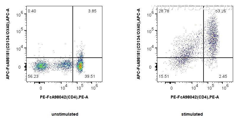 CD134/OX40