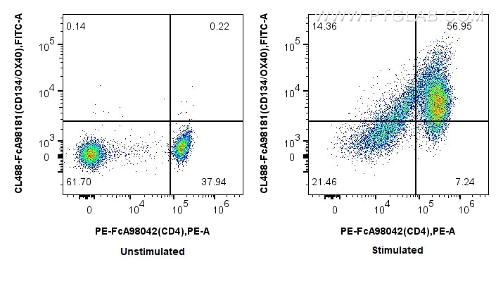 FC experiment of human PBMCs using CL488-FcA98181 Flow cytometry (FC) experiment of human PBMCs using FcZero-rAb® CoraLite® Plus 488 Anti-Human CD134/OX (CL488-FcA98181)