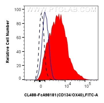FC experiment of human PBMCs using CL488-FcA98181 Flow cytometry (FC) experiment of human PBMCs using FcZero-rAb® CoraLite® Plus 488 Anti-Human CD134/OX (CL488-FcA98181)