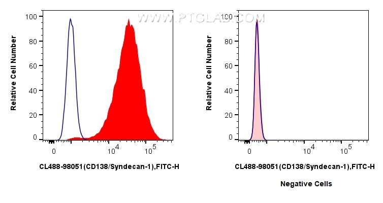 Flow cytometry (FC) experiment of U266 cells using CoraLite® Plus 488 Anti-Human CD138/Syndecan-1 Rab (CL488-98051)