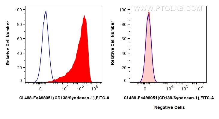 Flow cytometry (FC) experiment of U266 cells using FcZero-rAb® CoraLite® Plus 488 Anti-Human CD138/Sy (CL488-FcA98051)