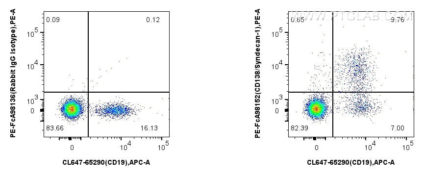 1x10^6 mouse bone marrow cells were surface stained with CoraLite® Plus 647 Anti-Mouse CD19, and 0.1 ug PE Anti-Mouse CD138/Syndecan-1 Rabbit RecAb (PE-FcA98152, Clone: 241278C7) or 0.1 ug PE Rabbit IgG Isotype Control RecAb (PE-FcA98136, Clone: 240953C9). Cells were not fixed. Flow cytometry (FC) experiment of mouse bone marrow using FcZero-rAb™ PE Anti-Mouse CD138/Syndecan-1 Rabbit (PE-FcA98152)