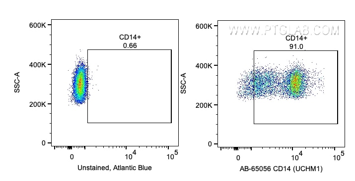 Flow cytometry (FC) experiment of human PBMCs using Atlantic Blue™ Anti-Human CD14 (UCHM-1) (AB-65056)