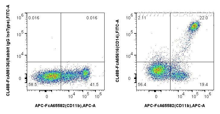 1x10^6 human PBMCs were surface stained with APC Anti-Human CD11b (ICRF44) and 5 ul CoraLite® Plus 488 Anti-Human CD14 (26IC) Rabbit IgG RecAb (CL488-FcA65616, Clone:26IC), or 5 ul Rabbit IgG Isotype Control RecAb (CL488-FcA98136, Clone: 240953C9). Cells were not fixed. Flow cytometry (FC) experiment of human PBMCs using FcZero-rAb™ CoraLite® Plus 488 Anti-Human CD14 (26 (CL488-FcA65616)