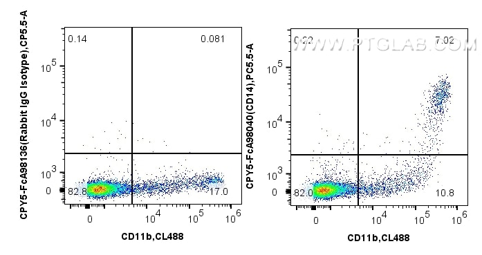 1x10^6 cynomolgus PBMCs were surface stained with CoraLite® Plus 488 Anti-Mouse CD11b, and 5 ul PerCP-Cyanine5.5 Anti-Human CD14 Rabbit RecAb (CPY5-FcA98040, Clone: 230332D7) or FcZero-rAb™ PerCP-Cyanine5.5 Rabbit IgG Isotype Control Recombinant Antibody (CPY5-FcA98136, Clone: 240953C9). Cells were not fixed. Flow cytometry (FC) experiment of Cnyo PBMCs using FcZero-rAb™ PerCP-Cyanine5.5 Anti-Human CD14 Rabbi (CPY5-FcA98040)