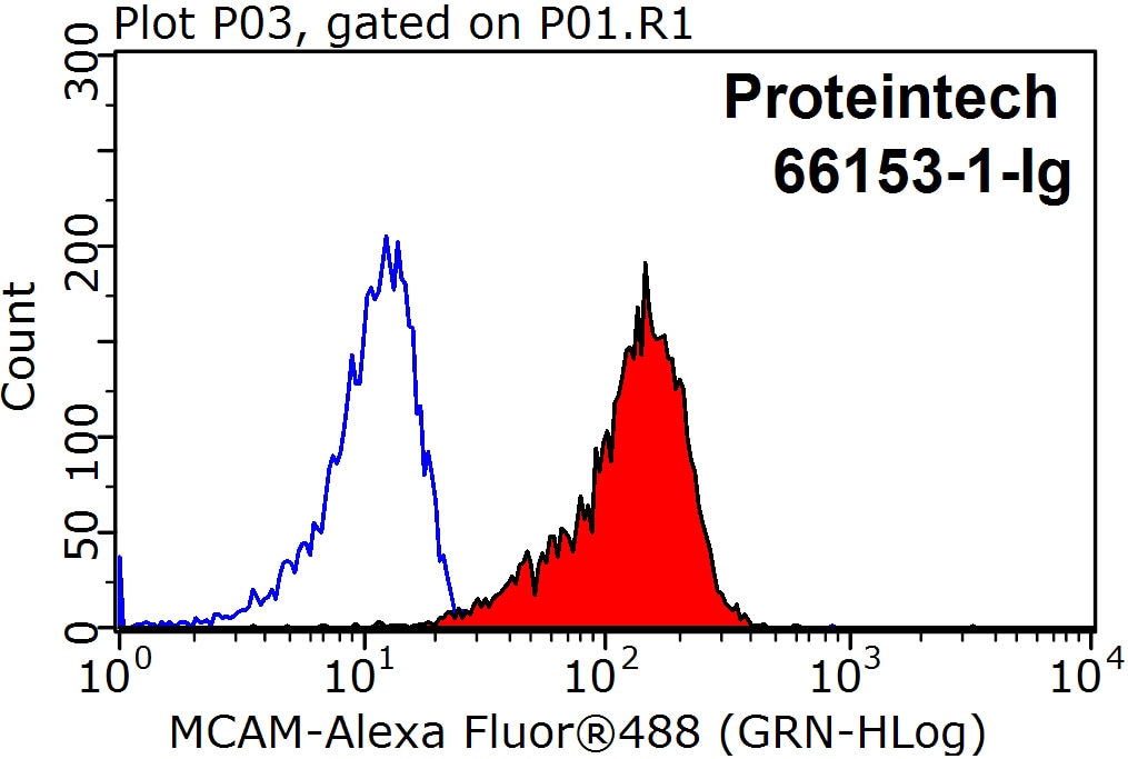 Flow cytometry (FC) experiment of HeLa cells using CD146/MCAM Monoclonal antibody (66153-1-Ig)