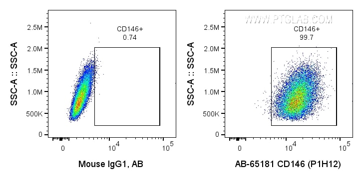 Flow cytometry (FC) experiment of A375 cells using Atlantic Blue™ Anti-Human CD146 (P1H12) (AB-65181)