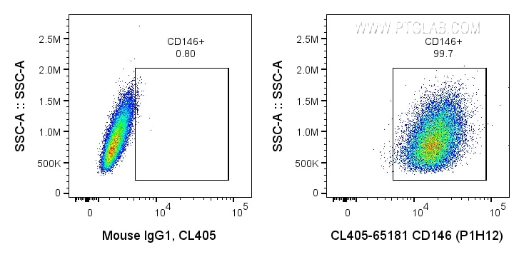 Flow cytometry (FC) experiment of A375 cells using CoraLite® Plus 405 Anti-Human CD146 (P1H12) (CL405-65181)