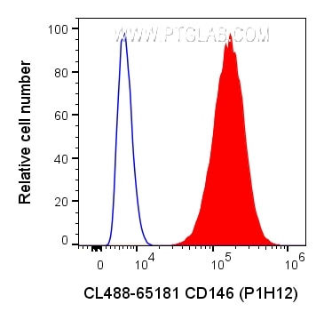 Flow cytometry (FC) experiment of A375 cells using CoraLite® Plus 488 Anti-Human CD146 (P1H12) (CL488-65181)