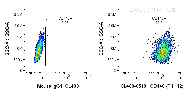 Flow cytometry (FC) experiment of A375 cells using CoraLite® Plus 488 Anti-Human CD146 (P1H12) (CL488-65181)