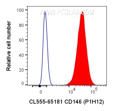 Flow cytometry (FC) experiment of A375 cells using CoraLite® Plus 555 Anti-Human CD146 (P1H12) (CL555-65181)
